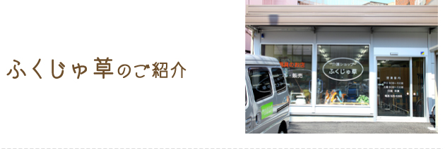 ふくじゅ草のご紹介